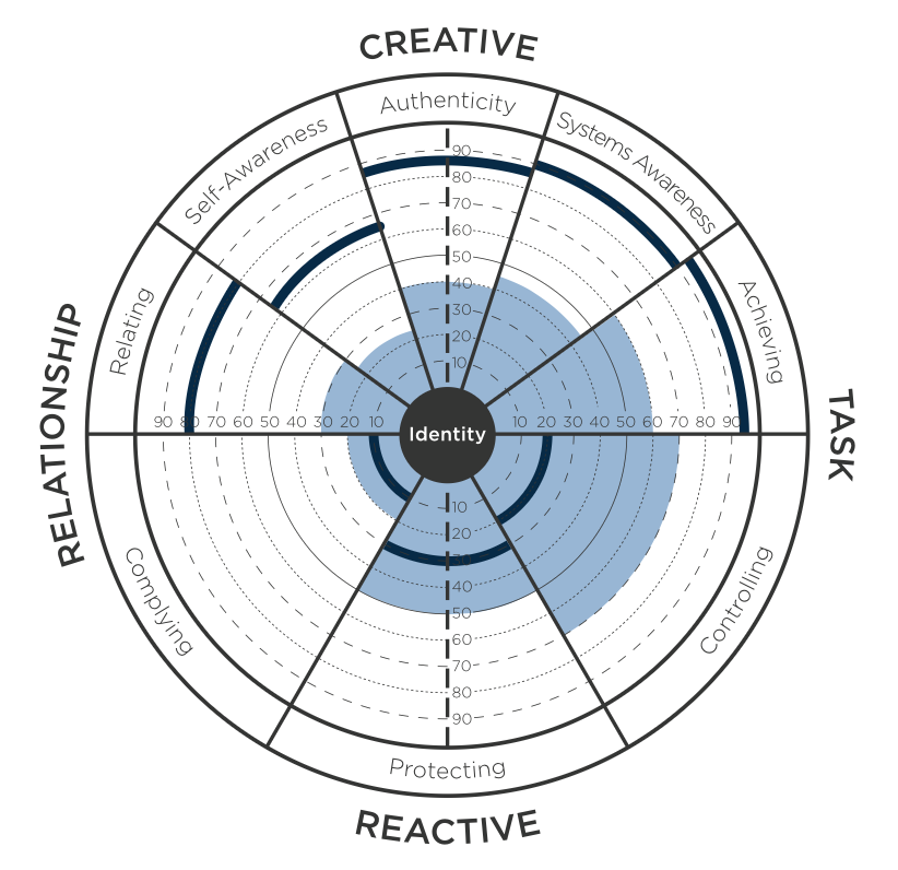 Collective Leadership Assessment